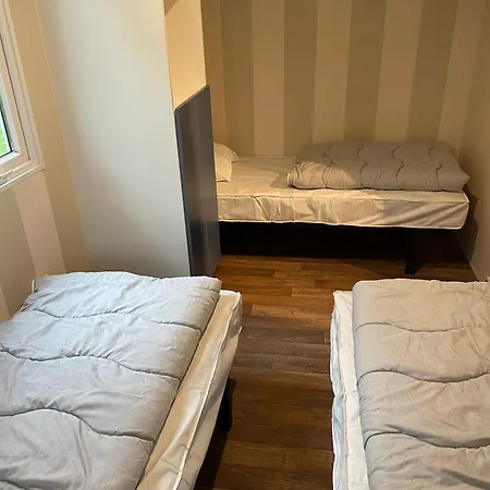 C16 - Le Domino Du Ried Boofzheim